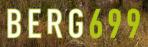 Bergmatten Logo_2016