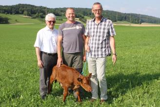 Nicola vo dr Steiholle