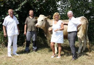 Wilhelmine vo dr Steiholle