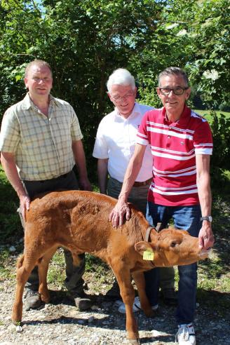 Schiggo vo dr Mätzeler Breiti