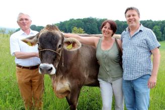 Gänseblüemli vo dr Mätzeler Niderweid