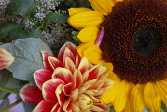 Am 18. August 2018 ist es wieder soweit.